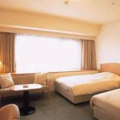 Kobe Luminous Hotel 3*,